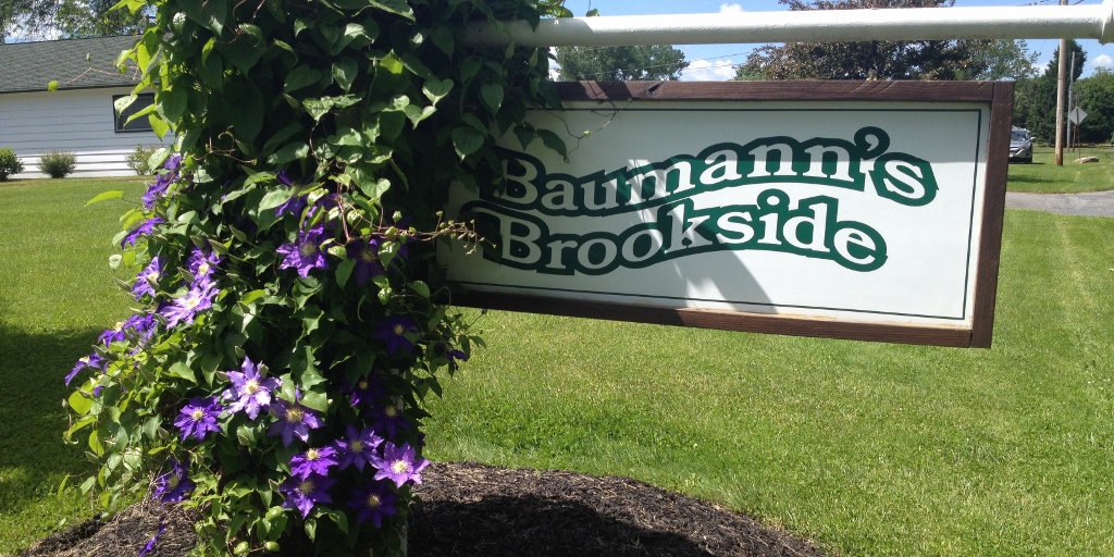 Baumann's Brookside sign